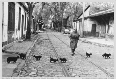 1974 - Doisneau - Chats Bercy
