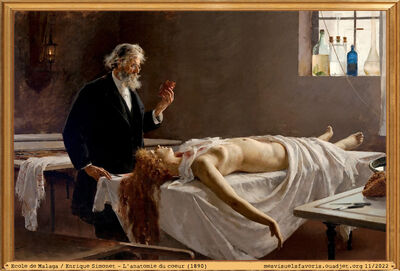 Simonet -1890- Anatomie
