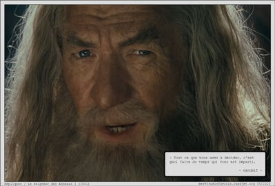 SeigneurDesAnneaux1b
