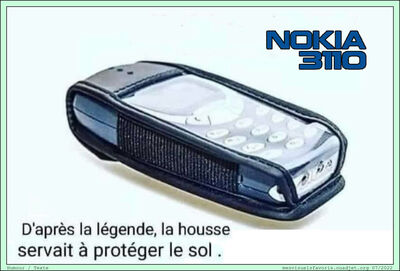 Nokia 3110
