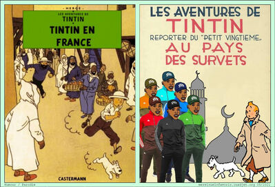 Tintin 01
