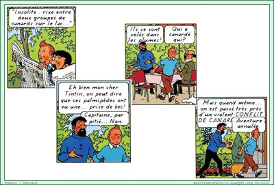 Tintin Canard
