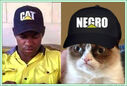 Cat_Negro_Bz.jpg