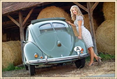 VW 1938-53 Beetle 1
