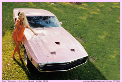 Playmate 1969 Connie Kreski Shelby GT500
