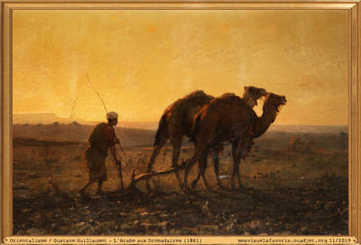 Guillaumet G -1861- Arabe au Dromadaire

