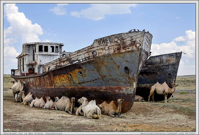 Kazakhstan - Zhalanash - Mer dAral
