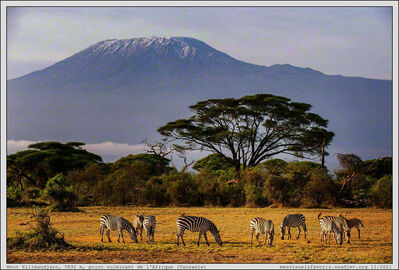 Tanzanie - Kilimandjaro
