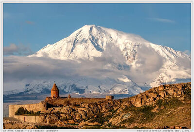 Turquie - Ararat
