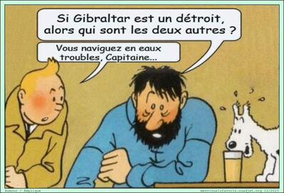 Tintin-01
