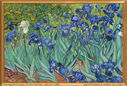 van_Gogh_Vincent_-1889-_Les_iris.jpg