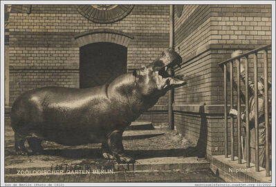 Hippo 12 - Berlin 1912
