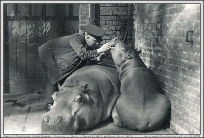 Hippo 21 Jean and Jimmy
