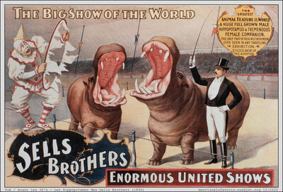 1896 - Sells Brothers Hippo
